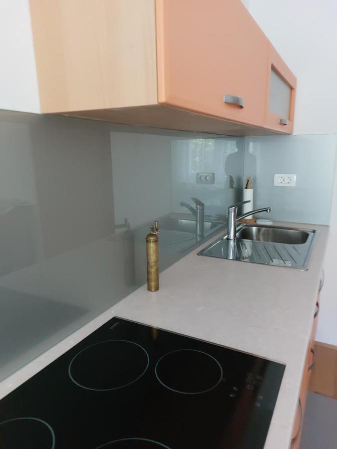 Apartma Sava-Stol Jesenice Kültér fotó